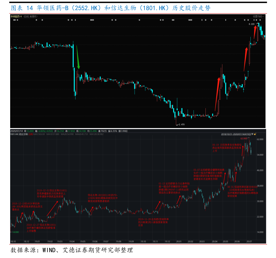 運動面料驅動成長，越南產能布局助力超盈國際凸顯彈性化纖面料優勢