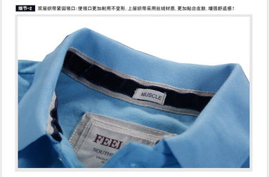 歐美經(jīng)典翻領(lǐng)男士Polo衫 天蘭色調(diào)與彈性織帶的時(shí)尚融合